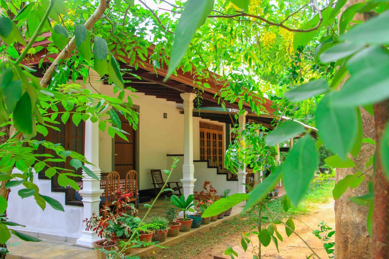 Sigiri Anu Homestay Sigiriya Buitenkant foto