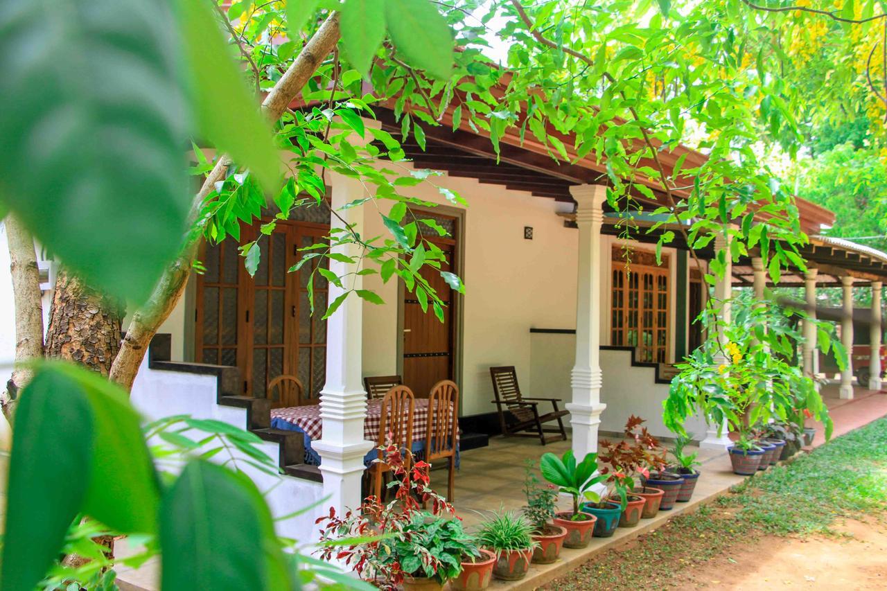 Sigiri Anu Homestay Sigiriya Buitenkant foto