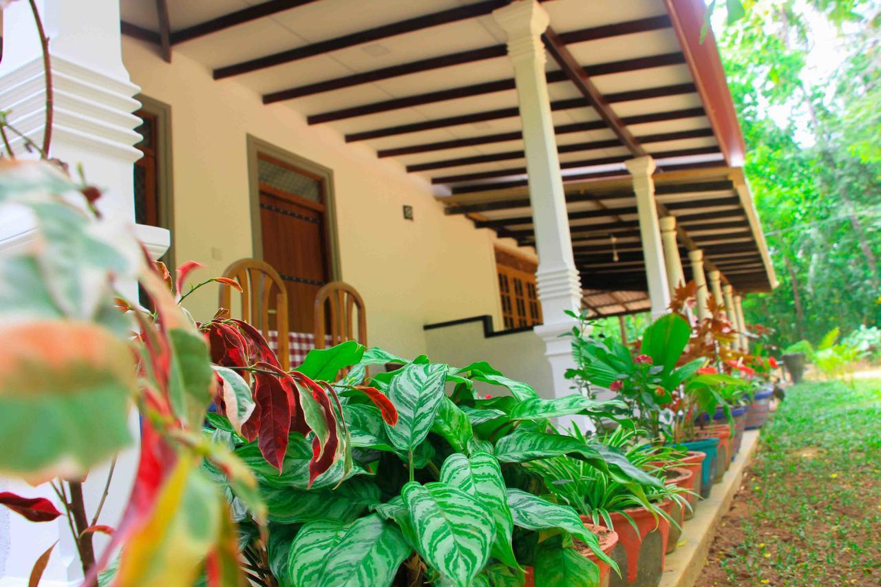 Sigiri Anu Homestay Sigiriya Buitenkant foto