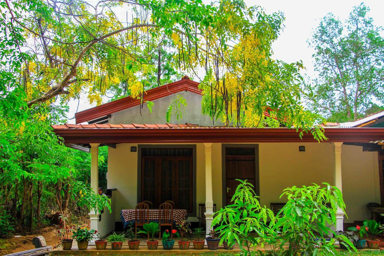Sigiri Anu Homestay Sigiriya Buitenkant foto